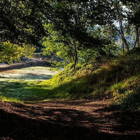 Creaconfort - Casa Do Rio Rio Mau (Penafiel)