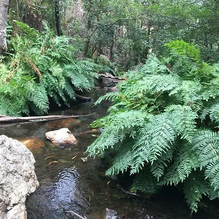 Creaconfort - Casa Do Rio Apartamento Rio Mau (Penafiel)