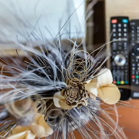 Creaconfort - Casa Do Rio Apartamento *