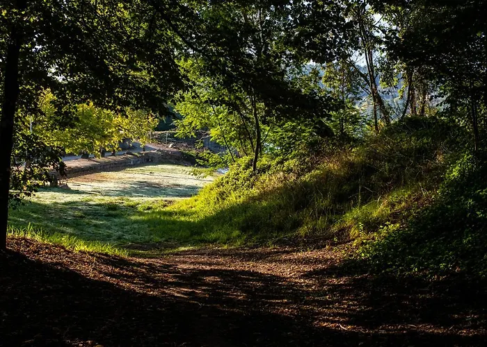 Creaconfort - Casa Do Rio Rio Mau (Penafiel)