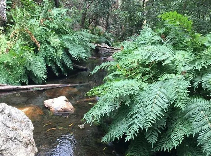 Creaconfort - Casa Do Rio Appartamento Rio Mau (Penafiel)